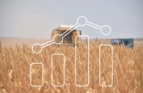 Turkey’s Ag-PPI up 18.81% annually in July: Grain and livestock trends signal shifting cost dynamics