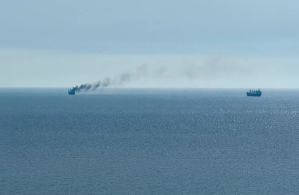 Black Sea shipping comes to a halt: Global grain market faces new price shocks and supply bottlenecks