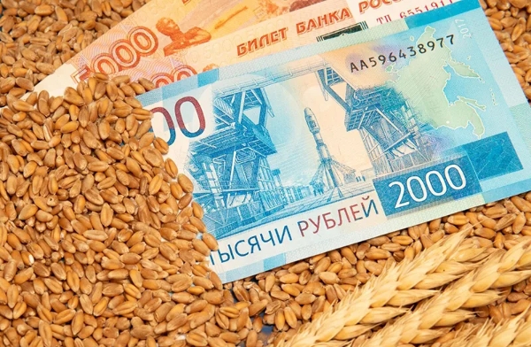 Russia considers suspending grain export duties through end of 2026