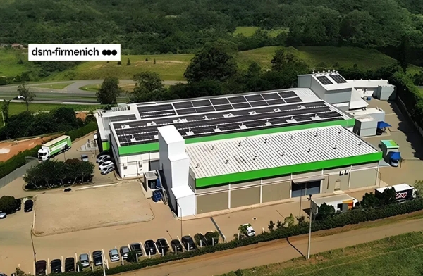 dsm-firmenich proposes Richard Ridinger as Board Chair as Animal Nutrition exit approaches