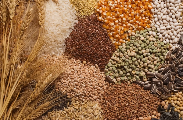 Shrinking feed use offset by food demand as global grain consumption hits record