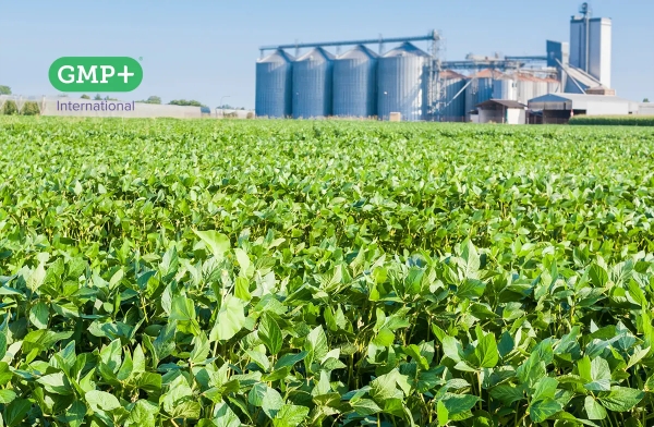 GMP+ extends responsible soy supply models beyond 2026
