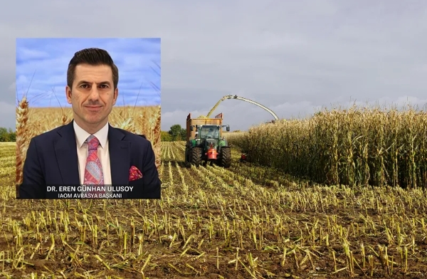 AB’nin 23 milyon tonluk mısır açığı yem piyasasını sarsıyor