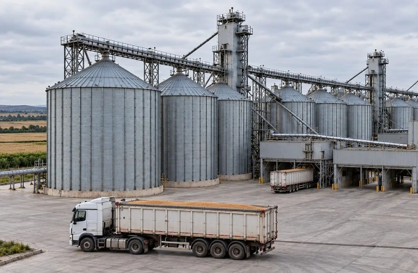 TMO releases 5.5m tonnes of wheat to secure grain supply and maintain price stability