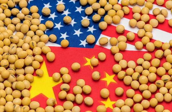 China makes 1-million-tonne US soybean move ahead of presidential visit