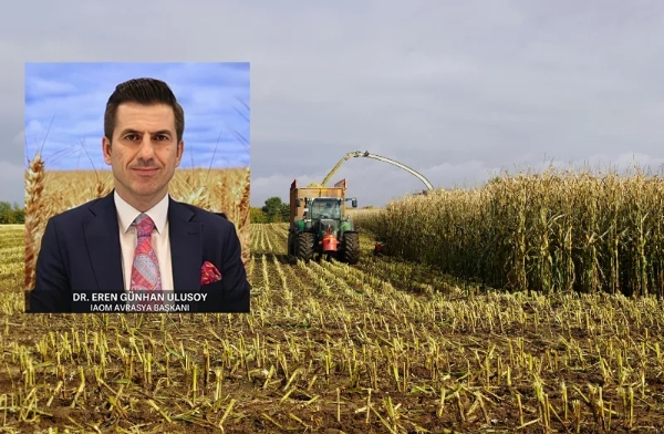 EU’s 23 mt corn deficit sparks volatility in feed market