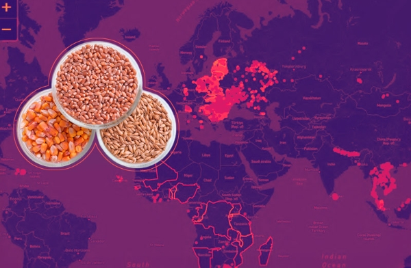 Europe’s feed sector faces diverging demand as ASF evolves
