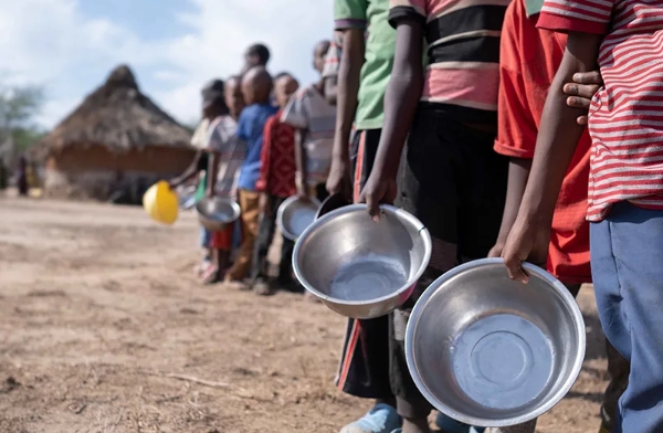 UN’s joint report: Over a quarter of the world faces food insecurity