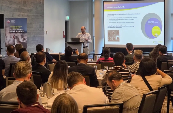 From precision nutrition to predictive modelling: Trouw Nutrition shares latest poultry research at World’s Poultry Congress 2026