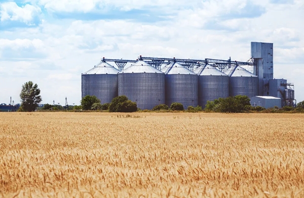 Türkiye imposes new criteria for licensed warehousing: 10 steel silo and 35,000-ton capacity requirements introduced