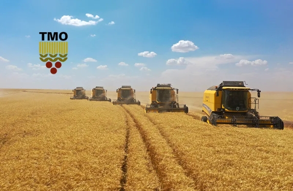 Rekor hasat 16 aylık yasağı kaldırttı, TMO'dan buğday ihracatına izin