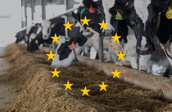 AB’den hayvancılık ve yem sektörüne stratejik özerklik hamlesi: 2035 hedefi %35 yerli protein