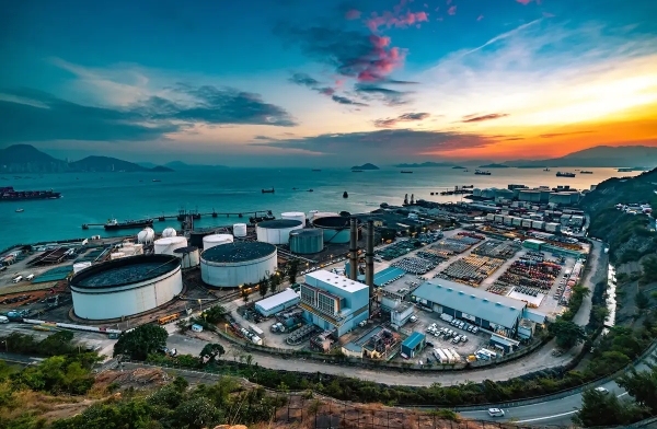 SoleChem strengthens animal feed sector supply chain
