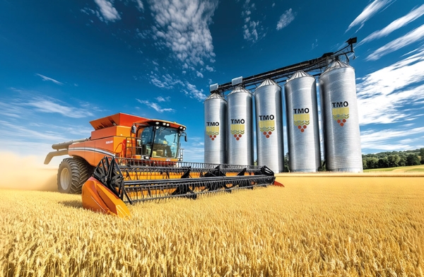 A comprehensive overview of TMO’s 2026 grain purchase prices