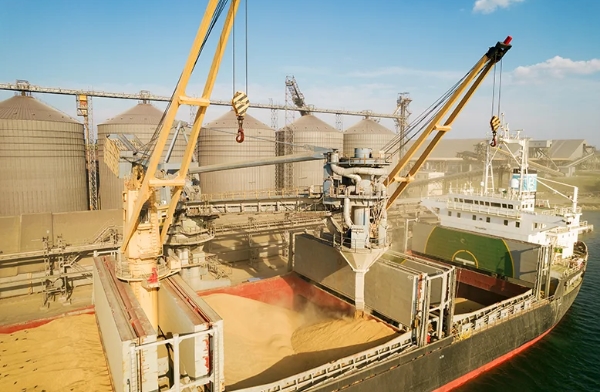 Global paradox in feed raw materials, 9-year record supply against price pressure