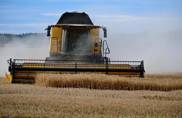 Turkey’s grain and oilseed exports reach $6.9 billion in Jan-Jul