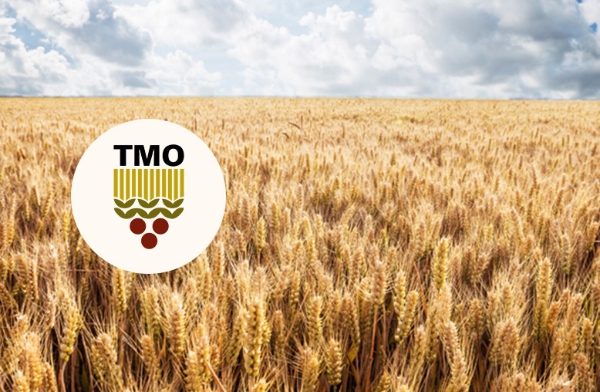 Turkey’s TMO raises 2026 grain procurement prices