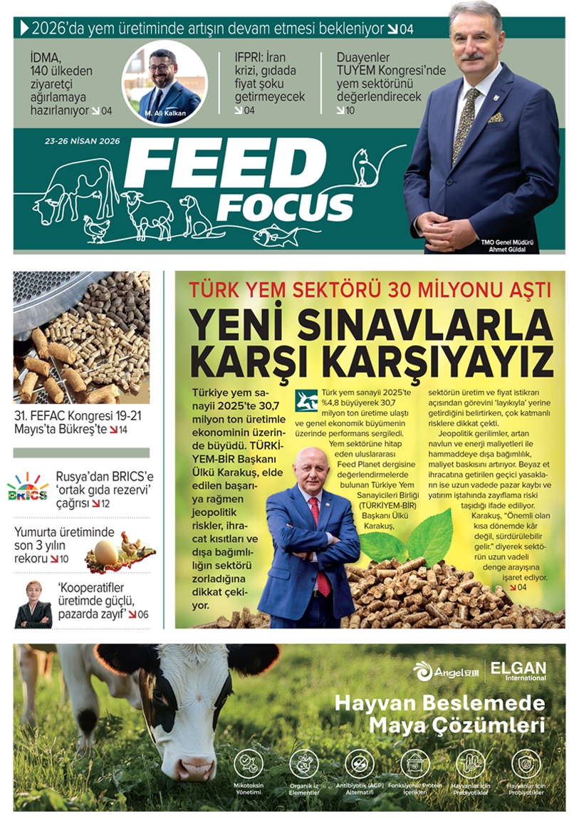 FEED FOCUS 2026