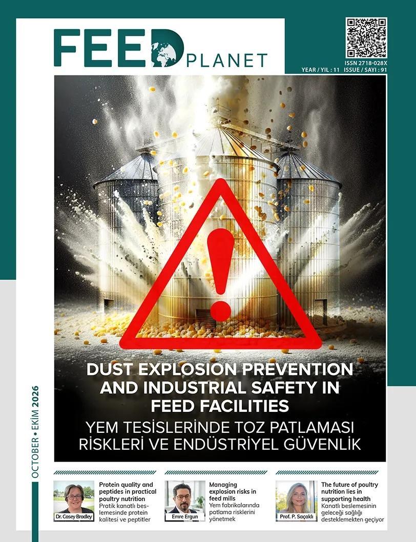 Issue 91 - October 2026