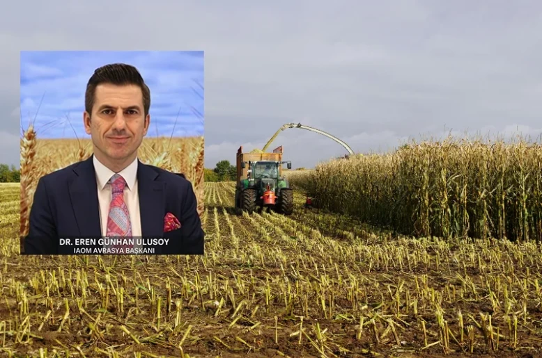 EU’s 23 mt corn deficit sparks volatility in feed market
