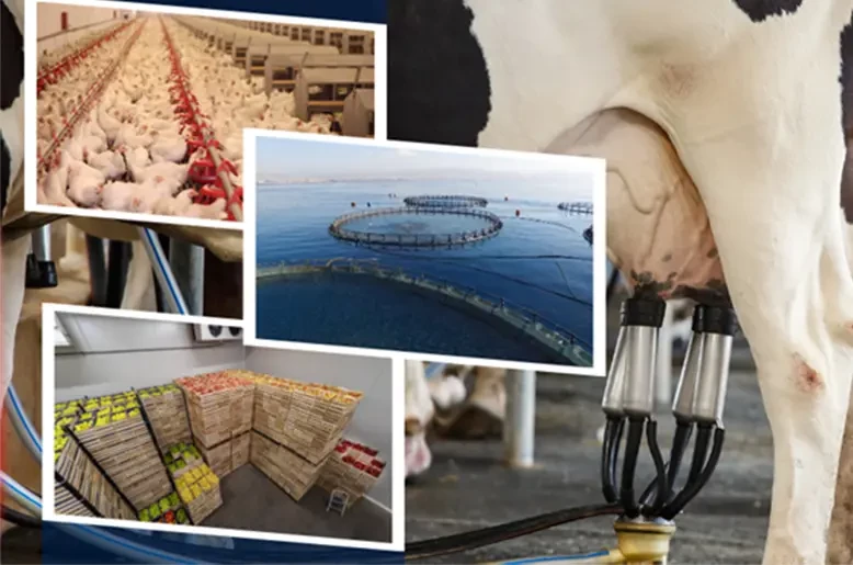 Türkiye launches €30 million IPARD III call for agri-food processing and storage investments