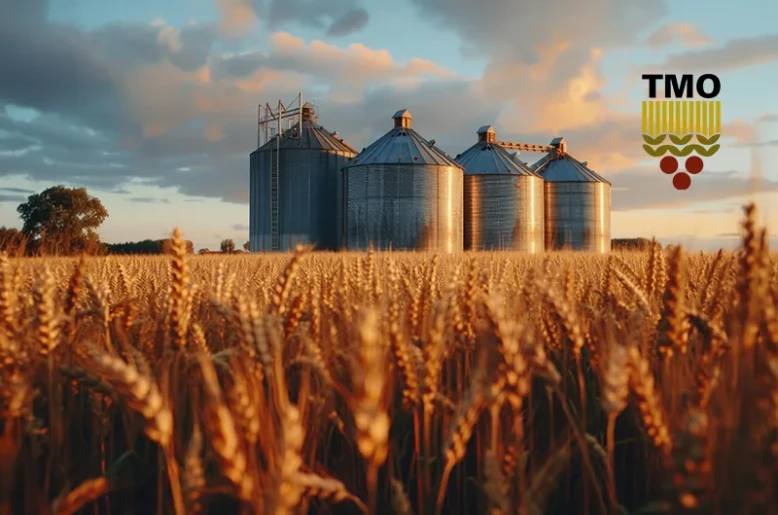 TMO initiates wheat sales via TMEX to regulate grain market as harvest season wraps up