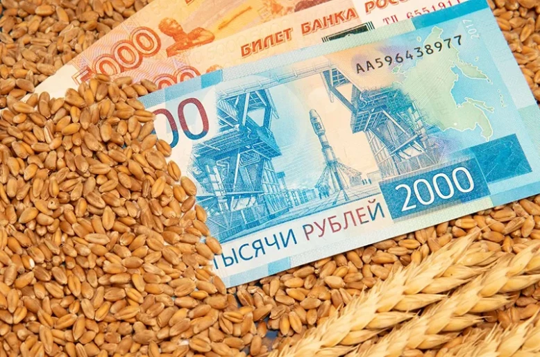 Russia considers suspending grain export duties through end of 2026