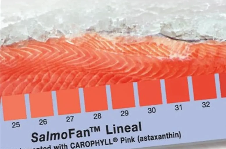Digitalizing color measurement across the aquaculture value chain