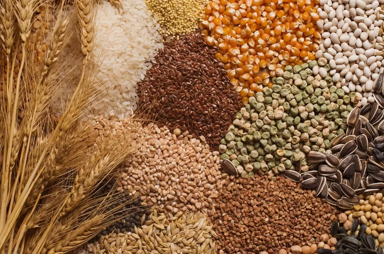 Shrinking feed use offset by food demand as global grain consumption hits record