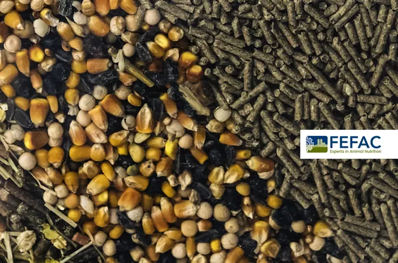 EU Compound Feed Production Market Forecast 2026