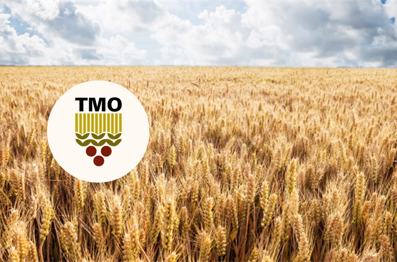 Turkey’s TMO raises 2026 grain procurement prices