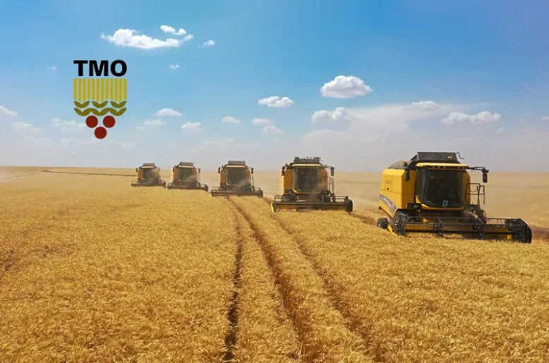 Record harvest lifts 16-month ban: TMO reopens Turkish wheat exports
