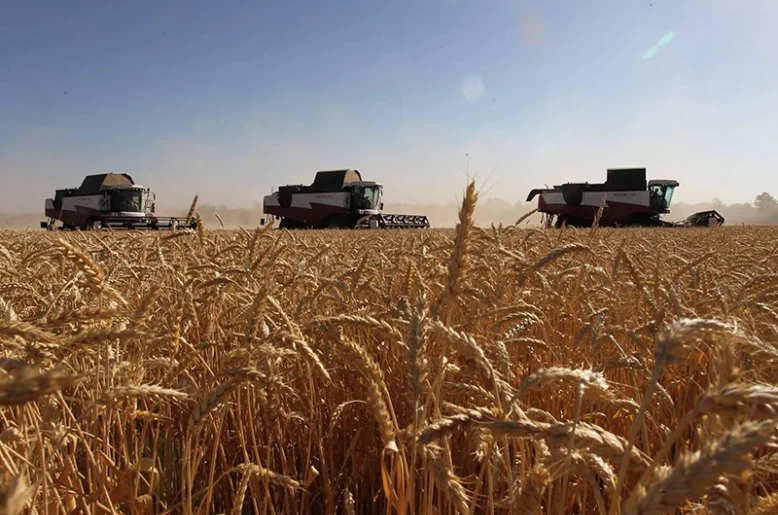 Russia passes 100-million-ton harvest milestone amid mounting Black Sea export bottlenecks
