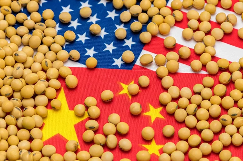 China makes 1-million-tonne US soybean move ahead of presidential visit