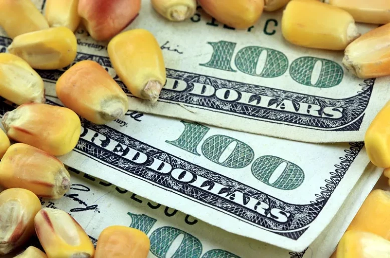 US yield cuts and climate risks push global corn prices to three-year high