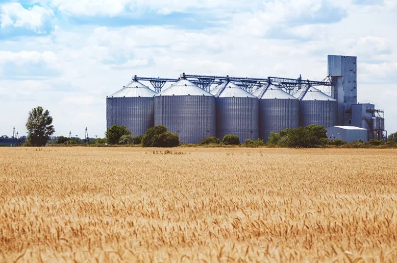 Türkiye imposes new criteria for licensed warehousing: 10 steel silo and 35,000-ton capacity requirements introduced