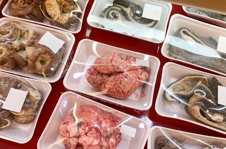 Global animal-source food supply quadruples in six decades