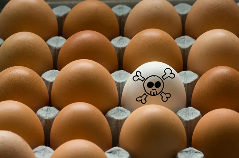 Belgium-origin Salmonella egg crisis triggers Europe-wide biosecurity alert